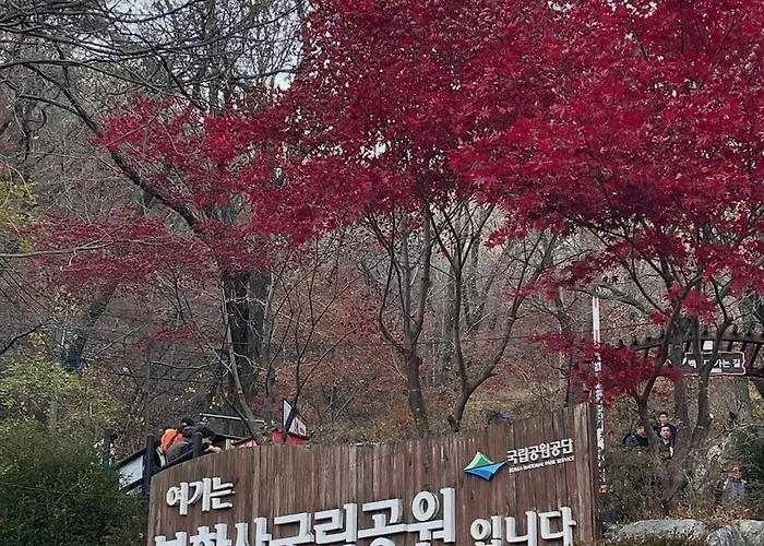 Blue Mansion 서울특별시